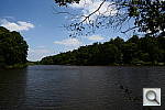 Click to see Y-DSC_1002_SILHOUETTE.JPG
