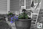 Click to see Y-DSC_1027_SELECTCOLOR2.JPG