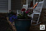 Click to see Y-DSC_1030_LOWKEY2.JPG