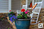 Click to see Y-DSC_1032_MINIATURE2.JPG