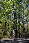 Click to see YDSC_0073-GPS.JPG