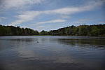 Click to see YDSC_0097.JPG