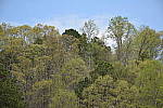 Click to see YDSC_0102.JPG