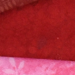 100% crop from Nikon D5500 test image taken at ISO 1600