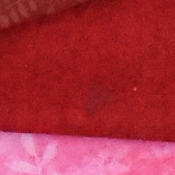 100% crop from Nikon D5500 test image taken at ISO 3200
