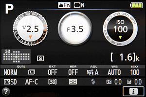 Nikon D5500 Review -- Status display on the Nikon D5500's articulated LCD monitor