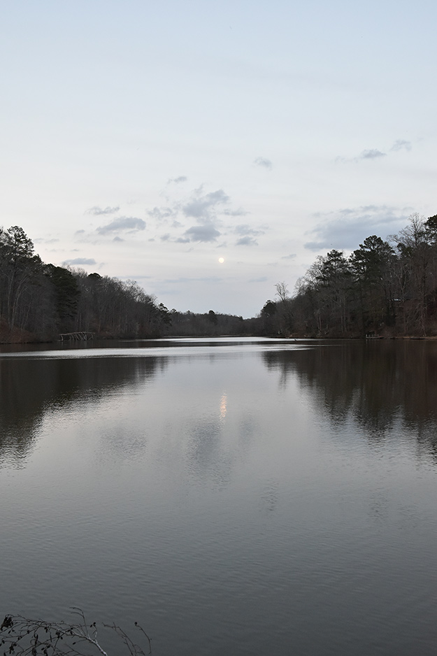 Nikon D5500 Review - sample gallery image