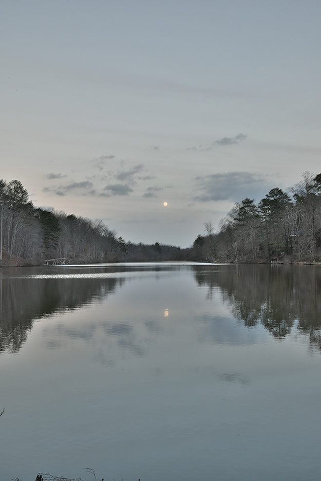 Nikon D5500 Review - sample gallery image