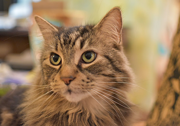 Nikon D5500 Review - sample gallery image