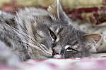 Click to see Y_DSC0003.JPG