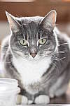 Click to see Y_DSC0008-FLASH.JPG