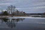 Click to see Y_DSC0043.JPG