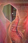 Click to see Y_DSC0050.JPG