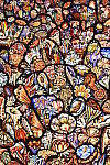 Click to see Y_DSC0060.JPG