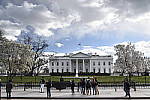 Click to see Y_DSC0065.JPG