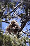 Click to see Y_DSC0097.JPG