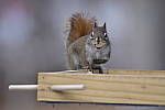 Click to see Y_DSC0103.JPG