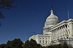 Click to see Y_DSC0152.JPG