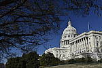 Click to see Y_DSC0155.JPG