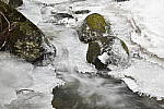 Click to see Y_DSC0157.JPG