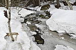 Click to see Y_DSC0162.JPG