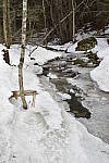 Click to see Y_DSC0166.JPG