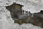 Click to see Y_DSC0169.JPG