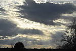 Click to see Y_DSC0175.JPG