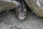 Click to see Y_DSC0185-2.JPG