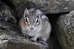 Click to see Y_DSC0189-2.JPG