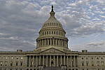 Click to see Y_DSC0192.JPG
