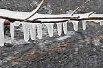Click to see Y_DSC0230-2.JPG
