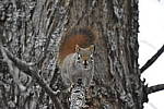 Click to see Y_DSC0238.JPG