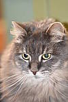 Click to see Y_DSC0242-FLASH.JPG