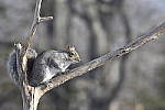 Click to see Y_DSC0267.JPG