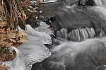 Click to see Y_DSC0287-2.JPG
