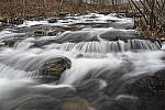 Click to see Y_DSC0302.JPG