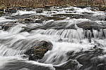 Click to see Y_DSC0307.JPG