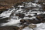Click to see Y_DSC0316.JPG