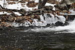 Click to see Y_DSC0353.JPG