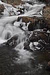 Click to see Y_DSC0361.JPG