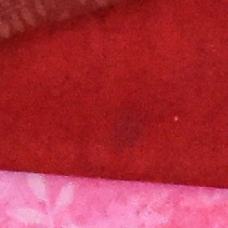 100% crop from Nikon D5600 test image taken at ISO 3200