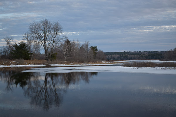 Nikon D5600 Review: Field Test -- Gallery Image