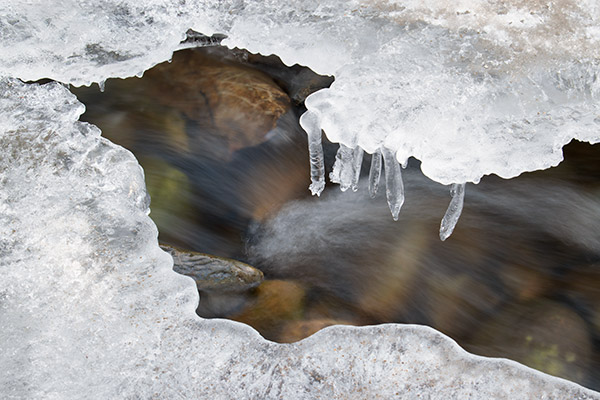 Nikon D5600 Review: Field Test -- Gallery Image