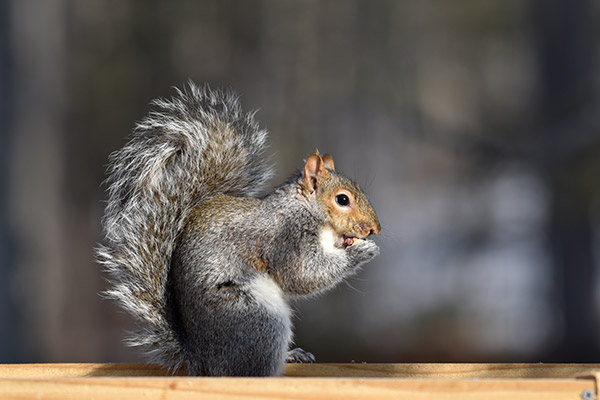 Nikon D5600 Review: Field Test -- Gallery Image