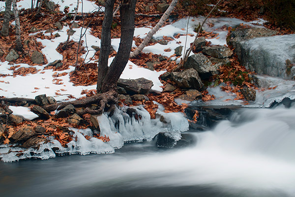 Nikon D5600 Review: Field Test -- Gallery Image