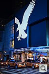 Click to see YDSC_3931.JPG