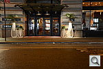 Click to see YDSC_4041.JPG