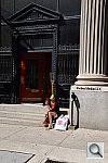 Click to see YDSC_4073.JPG