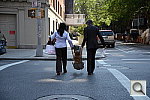 Click to see YDSC_4088.JPG